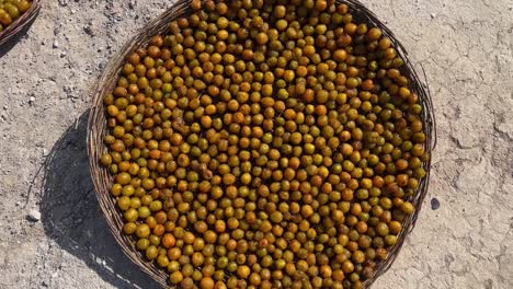 round-wicker-flat-basket-full-of-peel-off-plum-fresh-fruit-black-plum-organic-nutritious-vitamin-agricultural-product-from-rural-village-countryside-orchard-in-semi-desert-climate-mountain-town-local