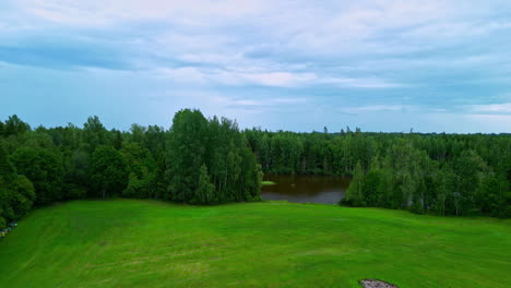 Aerial-view-of-coniferous-forest-and-lush-green-landscape-adorning-pond