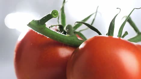 Makroaufnahme-Eines-Zweiges-Frischer-Tomaten,-Der-Sich-In-Zeitlupe-Dreht,-Gesundes-Ernährungskonzept