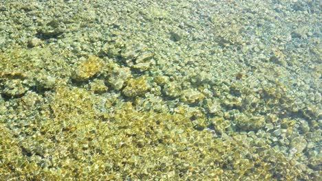 Rocky-shallow-sea-bottom-and-water-ripples-on-sunny-hot-day