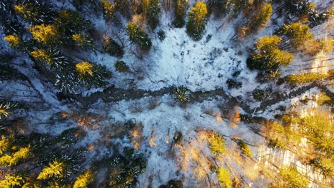 Aerial-4K-drone-video-of-winter-forest-from-top-view
