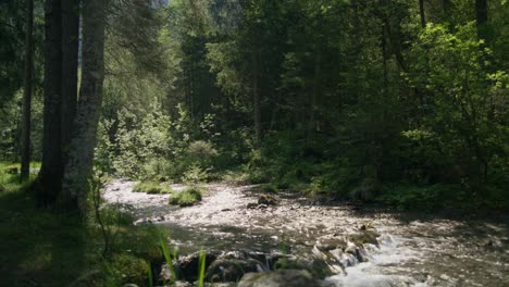 Bucle-De-Fondo-De-Naturaleza-Hermosa-Bosque-Profundo-|-Cueva-De-Grindelwald-Suiza-En-El-Cañón-Del-Glaciar,-Europa,-4k