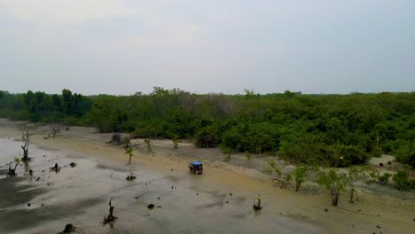 Auto-rickshaw-riding-in-Sundarbans-forest-near-Kuakata-Beach,-Bangladesh