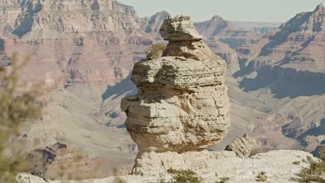 Grand-Canyon-National-Park-South-Rim-in-Arizona-with-dolly-shot-moving-from-tree-to-reveal-rock-in-canyon