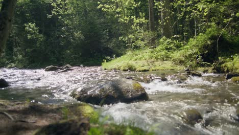 Deep-Forest-Stream-Beautiful-Nature-Background-|-Grindelwald-Switzerland-Forest,-Europe,-4k