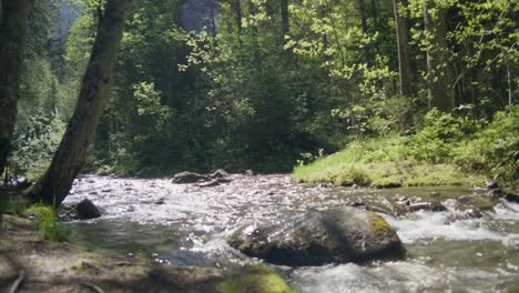 Corriente-De-Bosque-Profundo-En-La-Luz-Del-Sol-Brillante-Fondo-De-Naturaleza-Hermosa-|-Bosque-De-Grindelwald,-Suiza,-Europa,-4k