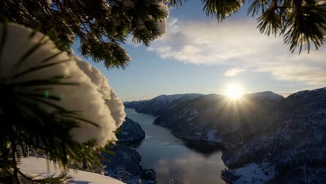 Stunning-winter-sunset-at-Norway-fjord-from-inside-natural-pine-tree-frame