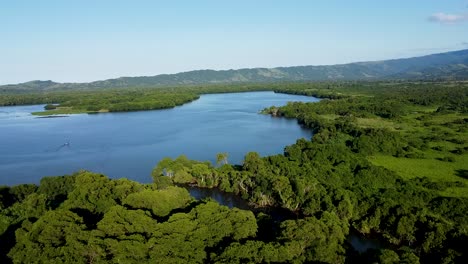 Aerial-of-rainforest-and-lake-with-lush-green-vegetation-and-mangroves