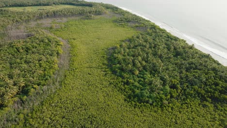 An-Aerial-Shot-Of-A-Green-Coastal-Landscape-With-Tropical-Trees-Near-The-Beach