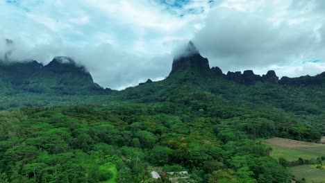 Verde-Y-Denso-Matorral-Sobre-Bosques-En-Las-Islas-Moorea,-Polinesia-Francesa