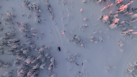 Drone-tracking-snowmobiles-in-a-arctic-snow-covered-forest,-morning-in-Lapland