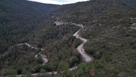 Camino-Curvo-En-Medio-Del-Bosque