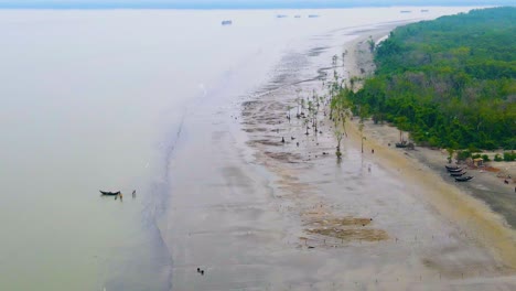 Aerial-tilt-shot-of-a-vast-beach-with-boat-and-forest-in-Bangladesh,-Kuakata-near-Sundarban-coast