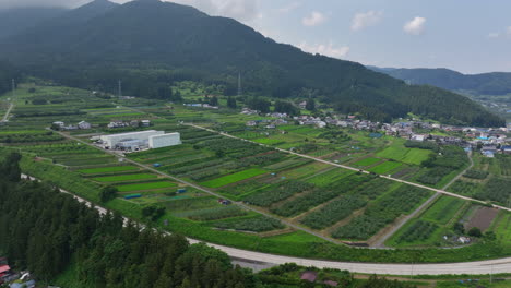 Aerial-view-toward-rice-fields-and-plantations,-summer-in-Yamanochi,-Nagano,-Japan