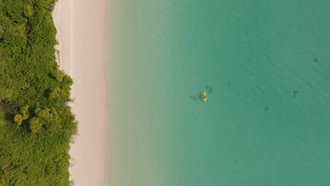 An-Aerial-Shot-Of-A-Tropical-Beach-With-A-Tree-Line-And-A-Person-Boating-In-The-Sea