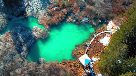 Aerial-4K-drone-footage-of-Zelenci-Springs-in-the-winter