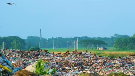 Plastic-waste,-garbage-landfill-site-with-an-industrial-chimney-in-the-background,-Birds-feast-on-decaying-food-waste-dumped-daily-on-landfills