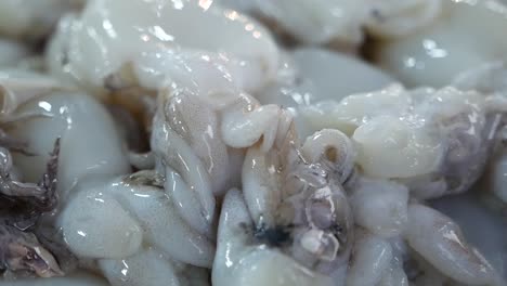 Various-Kind-of-Raw-Seafood,-Close-Up