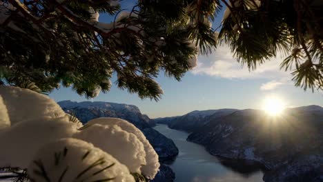 Magical-Norway-Veafjord-winter-sunset-framed-by-green-pine-branches,-handheld-slow-motion