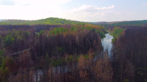 Bewegende-Aufnahme-über-Den-Fluss,-Der-An-Einem-Bewölkten-Tag-Durch-Dichten-Grünen-Wald-Fließt