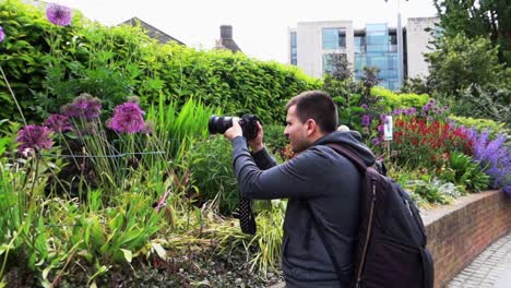 Fotógrafo-Captura-Allium-Púrpura-Y-Flores-De-Jardín-Rojas,-Jardín-Dubh-Linn