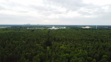 Massive-forest-area-and-industrial-buildings-in-horizon,-aerial-view