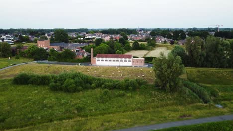 Belgium-township,-factory-and-sheep-herd,-aerial-drone-view