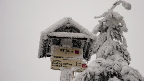 Low-angle-view-of-snowy-direction-and-distance-sign-near-snow-covered-fir-tree
