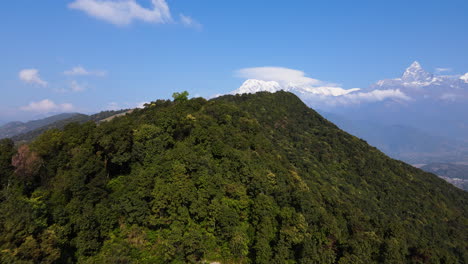 Tropischer-Regenwald,-Dicht-Bedeckt-In-Bergen-In-Der-Nähe-Von-Pokhara-In-Nepal,-Südasien