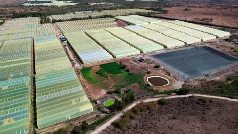 Aerial-View-Of-Greenhouses-And-Irrigation-Pond-In-The-Farm