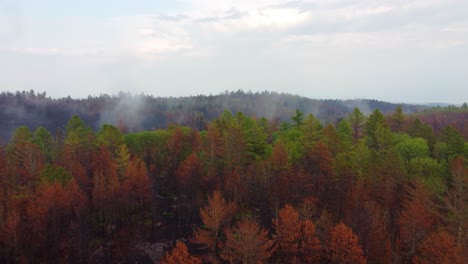 Luftdrohnenschwenkaufnahme-über-Buntem-Wald-An-Einem-Herbstlichen-Morgen