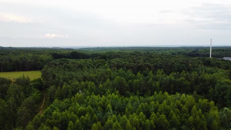 Endless-woodland-landscape-and-factory-on-side,-aerial-view