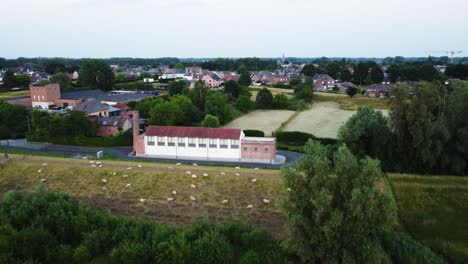 Countryside-town-in-Belgium-and-flock-of-sheep,-aerial-view
