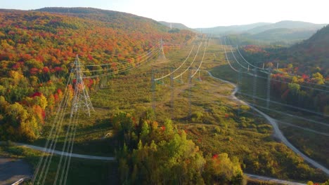 Tall-power-line-passing-alongside-colorful-forest-during-morning-time