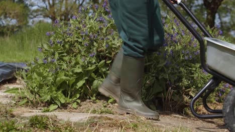 Gardener-Wearing-Rubber-Boots-Pushing-Wheelbarrow-In-The-Garden