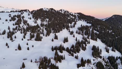 Aerial-view-of-snowy-landscape-in-Untervaz,-Switzerland-with-conifers-at-dusk