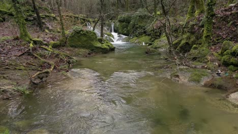Ruhiger-Waldbach-Mit-Rauschenden-Wasserfällen