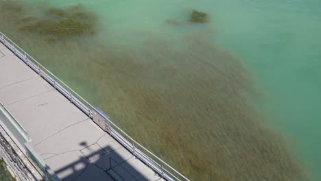 Las-Algas-Exhiben-Un-Movimiento-Oscilante-En-Respuesta-A-Las-Corrientes-De-Agua-Del-Océano.