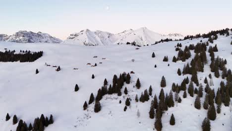 Luftaufnahme-Einer-Schneebedeckten-Berglandschaft-In-Der-Abenddämmerung-Mit-Immergrünen-Bäumen-Und-Isolierten-Hütten