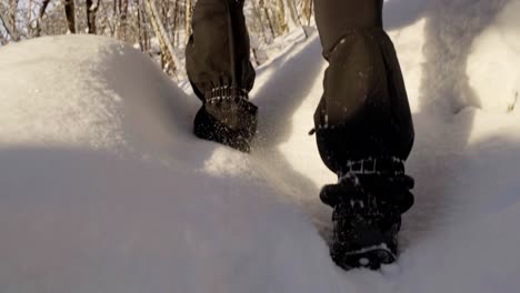 Gaiters-and-spikes,-woman-walking-snowy-forest,-low-angle-handheld-slow-motion