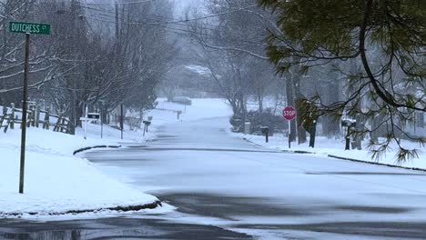 Slow-motion-snowfall-in-suburban-NYC,-America,-during-a-big-nor’easter