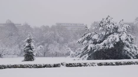 Beautiful-Landscape-Shot-On-A-Snowy-Day-In-Public-Park
