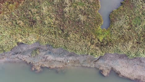 Top-down-aerial-footage-moving-over-an-estuary