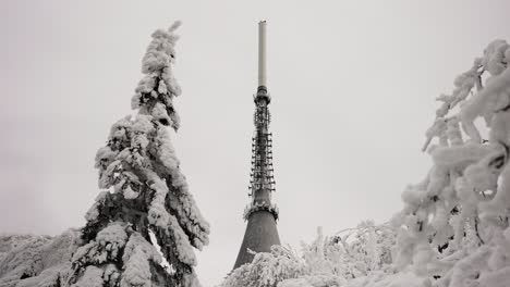 Low-angle-view-of-television-transmitter-tower-spire-through-snowy-forest