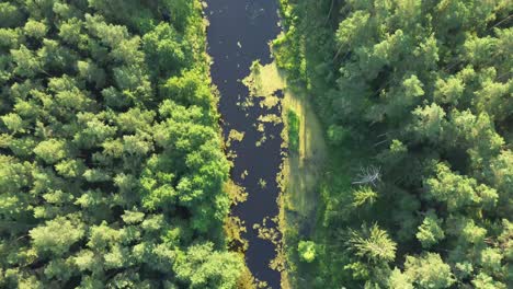 "Soar-above-Europe's-dawn-lit-lake-with-a-drone,-capturing-the-tranquil-lagoon,-lush-forest,-and-an-elegant-bridge—a-mesmerizing-bird's-POV,-offering-a-scenic-view-from-the-sky