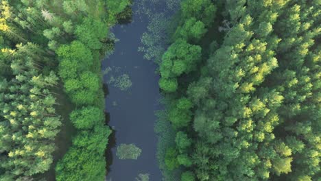 Entdecken-Sie-Europas-Morgendämmerung-Aus-Der-Vogelperspektive-–-Die-Drohne-Gleitet-über-Einen-Ruhigen-See,-Einen-üppigen-Wald-Und-Einen-Staudamm-Und-Bietet-Eine-Atemberaubende-Perspektive-Aus-Der-Luft