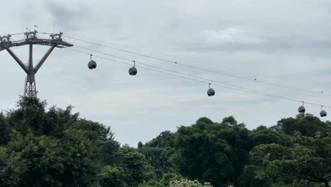 Cable-Cars-Above-Lush-Forest-Of-Mount-Faber-Park-In-Singapore