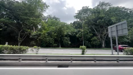 Conduciendo-Por-La-Carretera-Bordeada-De-Densos-árboles-En-Singapur