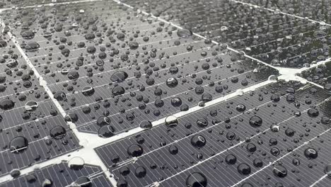 Close-up-of-a-photovoltaic-panel-with-falling-water-droplets