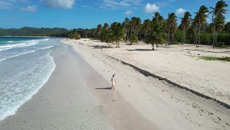Woman-walks-on-one-of-the-most-beautiful-beaches-on-earth---Playa-Rincon-in-the-Dominican-Republic